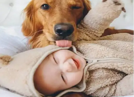 The dog doesn't know it stinks. He just wants to lick you