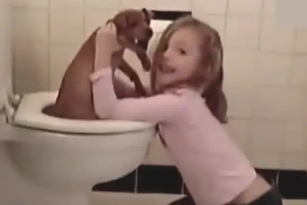 Late at night, the girl was in the bathroom with a dog, and she took a look at the light