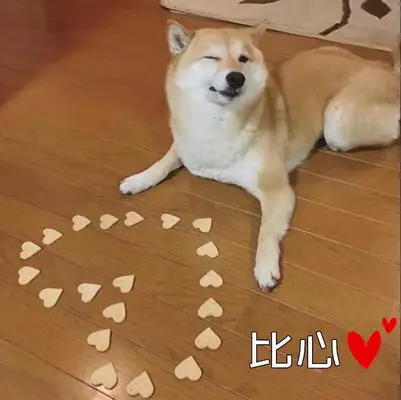 It's said that people who have dogs have these problems