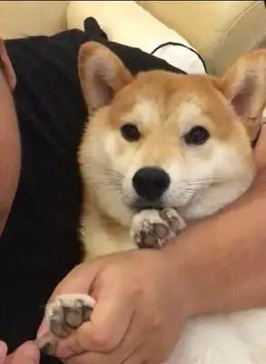 I never thought I'd miss my hand