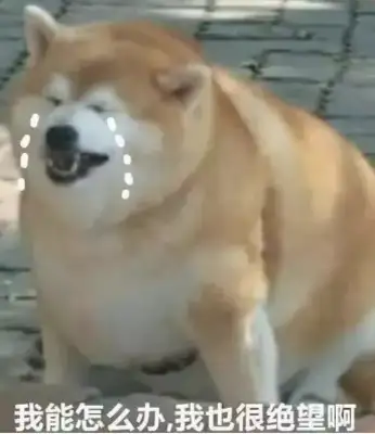 These dogs are easy to fatten. The master has to pay more attention