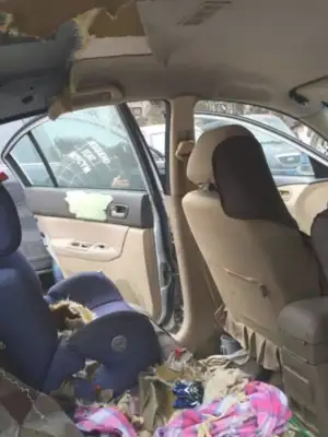 The dog thief stole our Hastych and sent him home crying a day later