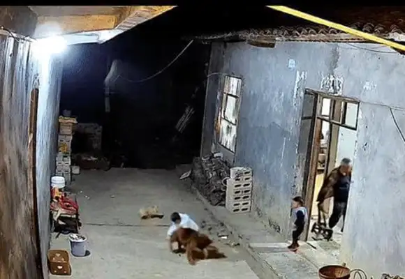 The kid fell on the dog. Grandpa mistook the dog for bullying him