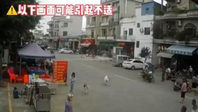 "Fooshan Girls Walking Dogs To Take the Old Man Out," followed by: The Old Man Dead