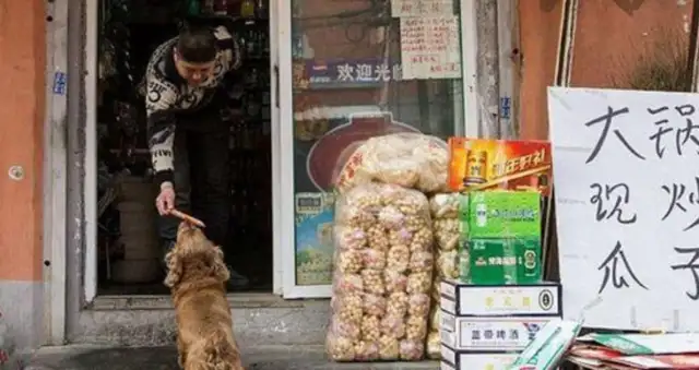 Eating dogs take a dollar a day and buy their own snacks and go home, and they're all out!