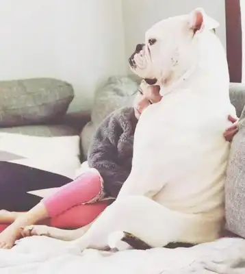 The wife of her husband, who died by accident, cried all day long, adopted a dog and got a smile: we are a family