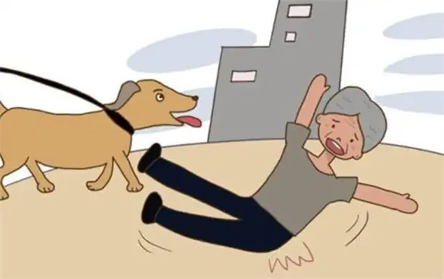 An old man in Xiamen died 26 days after being hit by a dog, and his family sued the owner for $440,000