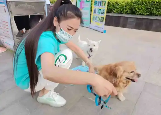 To hold the “civilist rope” as a civilized dogkeeper