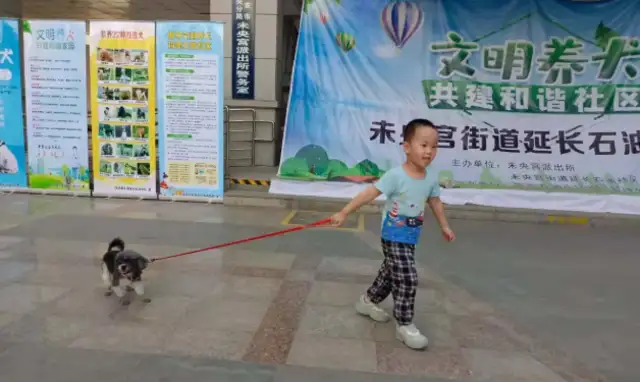 To hold the “civilist rope” as a civilized dogkeeper