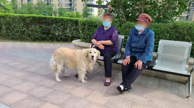 Reporter Visit: The dog leash still exists