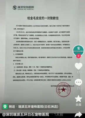 After a bath by a pet dog in Shenzhen, he died of drying? The pet hospital response