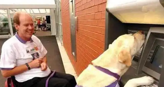 DOGS LEARN TO READ MEDICAL RECORDS, USE HUMAN SKILLS LIKE ATMS, ALL BECAUSE THEY LOVE THEIR MASTER