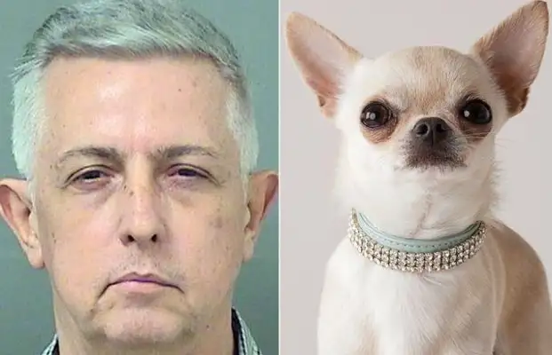 61-year-old Han was arrested for having sex with his family