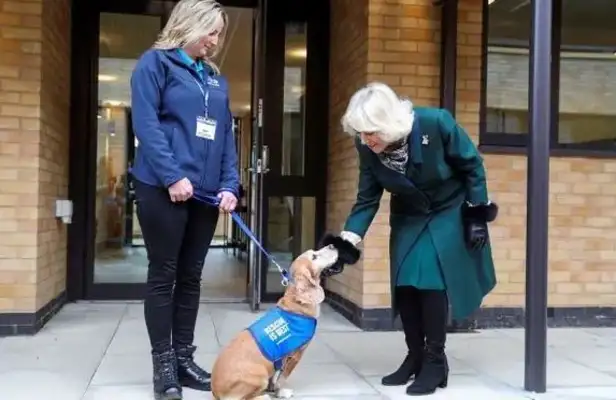Camilla's got a dog on the line. He's got a big heart