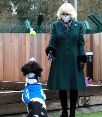 Camilla's got a dog on the line. He's got a big heart