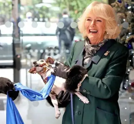 Camilla's got a dog on the line. He's got a big heart