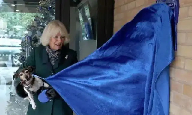 Camilla's got a dog on the line. He's got a big heart