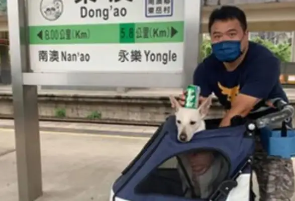 The dog sleeps with his wife early and looks at him as he goes out to sleep