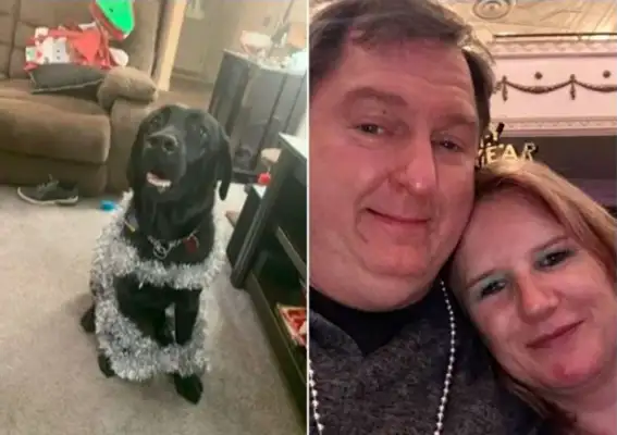 new york visually impaired women spend 15 years waiting for their beloved blind dog, and the trainer is killing the dog by