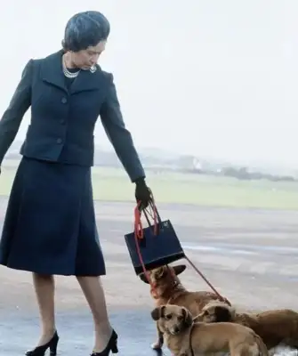 Camilla's got a dog on the line. He's got a big heart