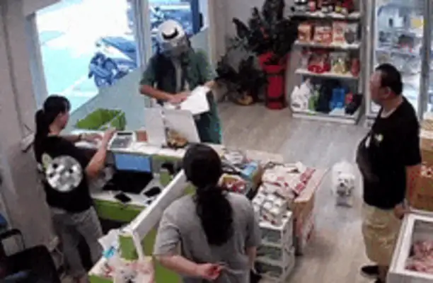 The deliveryman met a name he didn't see. The dog heard coming out right away