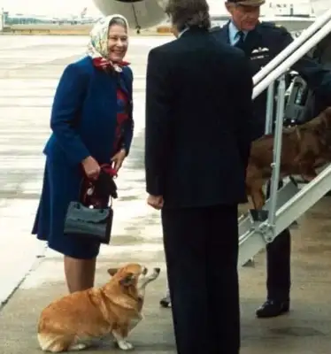 Camilla's got a dog on the line. He's got a big heart