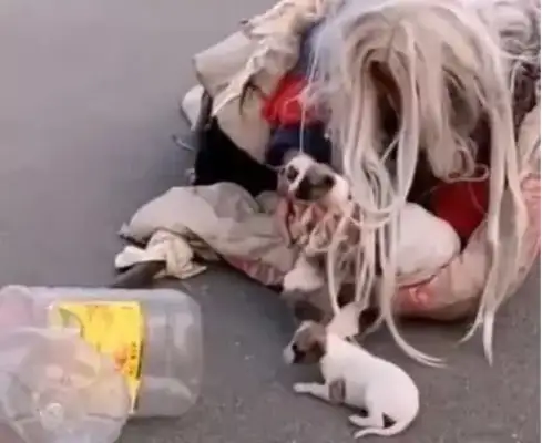 The drifter ran into a stray dog and immediately took the dog into his arms