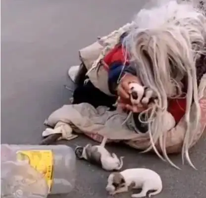 The drifter ran into a stray dog and immediately took the dog into his arms