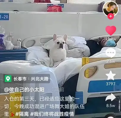 The dog's 10 days of change. He's with the owner. Hospital