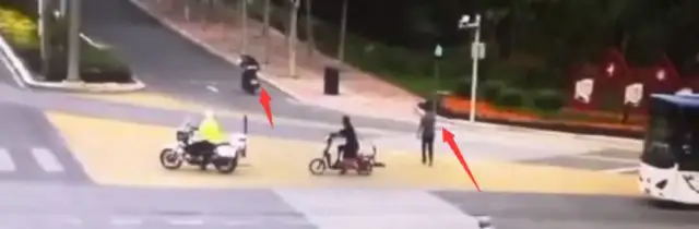 The pet dog's not tied up on the road, and the motorcyclist's crushing, and it's growing: who's looking for? Compensation
