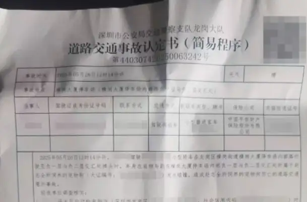 The dog who took the shower from the pet shop was hit by an accident by the shopkeeper: the owner claimed tens of thousands and the negotiations failed