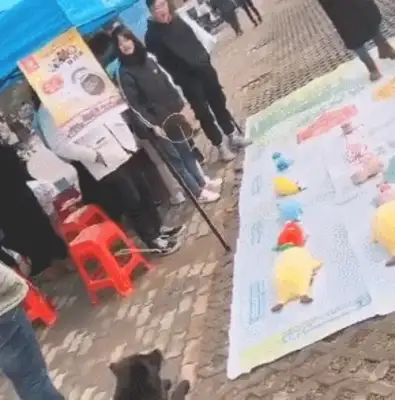 The street trapped a little black dog, and the dog was blinded at that time: 