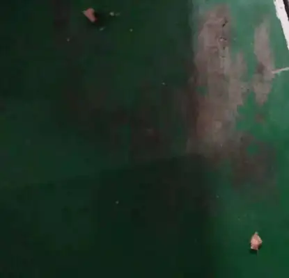 Many pet dogs in Wuhan district are suspected of dying after eating toxic ham sausages
