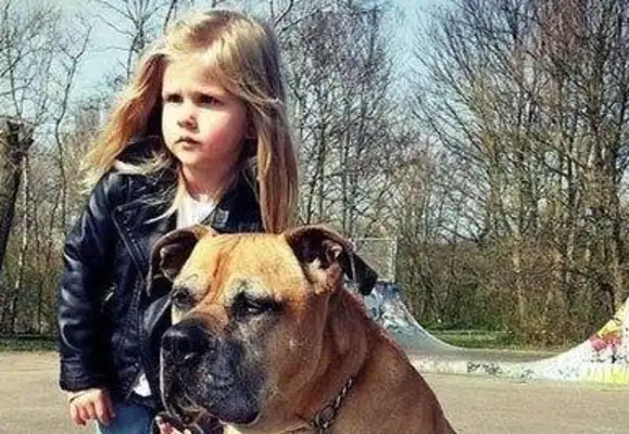 Girls and dogs live and die: friendship between people and dogs moved