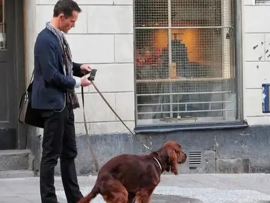 New rules for dogs, uncivilized and illegal