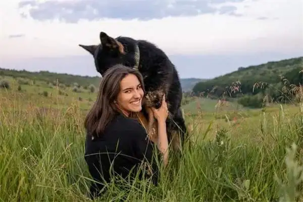 How do you know the German shepherds are masters