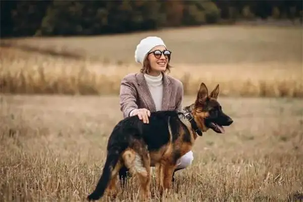 How do you know the German shepherds are masters