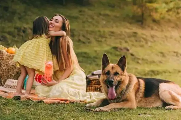 How do you know the German shepherds are masters