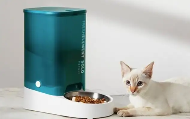 the iPhone13 remotely fixes the pet snack machine to keep the hairy kids well. Box