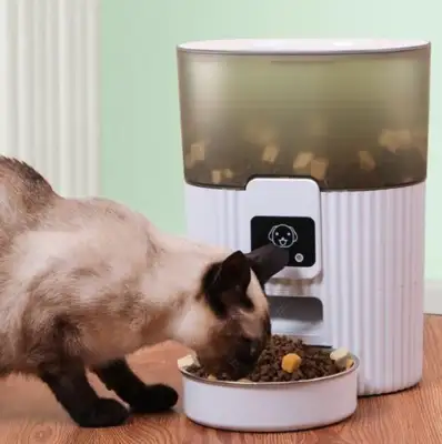 the iPhone13 remotely fixes the pet snack machine to keep the hairy kids well. Box