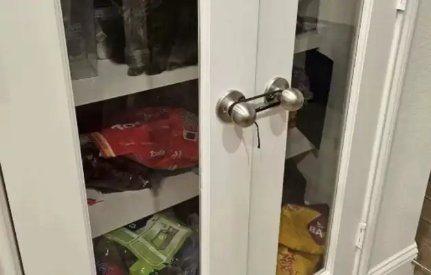 How did the snack cabinets work when they were locked up and cats could eat