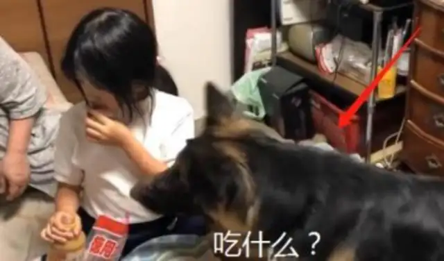 Dejima is the third child of a friend. Who's not the baby