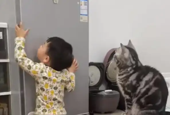 I can't get snacks from the fridge