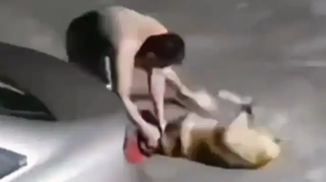 A dog jumps at a kid and the master steps forward to stop the swing