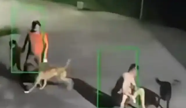 A dog jumps at a kid and the master steps forward to stop the swing