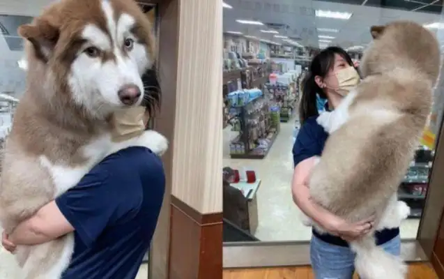 I'm taking a shower at the pet store. I can't wait to find a pretty lady