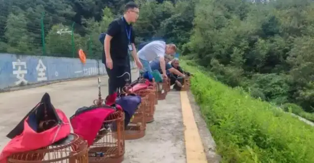 Eleven of them were released
