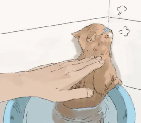The woman took a bath for the cat, took a call and came back for a look