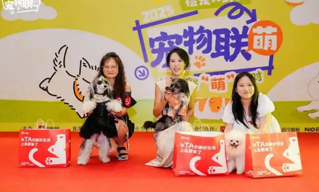 Chengdu's favorite carnival: nearly 200 family groups to build a pet star