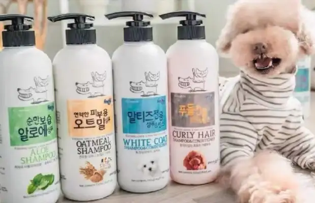 What happens when a pet showers with a man's bath